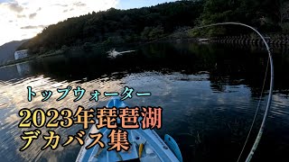 2023年琵琶湖デカバス集！！50cm〜60cm！！4キロ超えの琵琶湖怪物をトップウォーターで釣る！！#shorts #トップウォーター #バスフィッシング #バス釣り #釣り #琵琶湖バス釣り