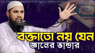 বক্তাতো নয় যেন এ যুগের আবু হানিফা| হাঃ মাওঃ মাহমুদ হাসান ফুলপুরী 01628879177| ঘুম আসছেনা ওয়াজটি শুনি