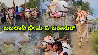 ಬಬಲಾದಿ ಭೀಮ \u0026 ಬಕಾಸುರ್ || terabandi race