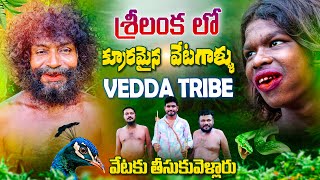 Vedda Tribes Srilanka 🇱🇰 | శ్రీలంక అడవి వేటగాళ్ళను కలిశాను | Wild Hunters Part 01| Telugu Vlogs