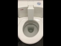 Self cleaning toilet seat