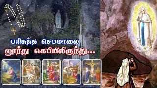 பிரான்சு லூர்து மாதா கெபியிலிருந்து தமிழில் செபமாலை || 21.01.2025