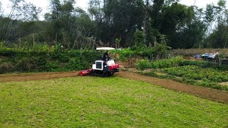 China2022|防城港市防城区：春耕生产如火如荼 Spring Plowing |中國 城市 廣西 防城港|Китай|Гуанси|Фанчэнган