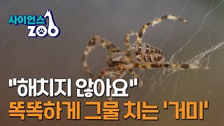 [사이언스ZOO] \