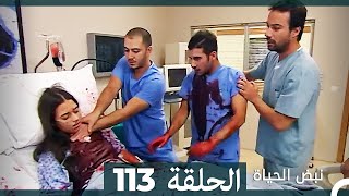 نبض الحياة - الحلقة 113 Nabad Alhaya HD (Arabic Dubbed)