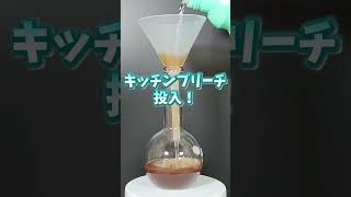 これ色消える？㊽漂白剤vsとんかつソース #science #scienceexperiments #shorts