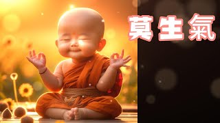 孫兒佛襌歌分享-莫生氣(廣東話/粵語) #佛襌 #身心靈 #莫生氣