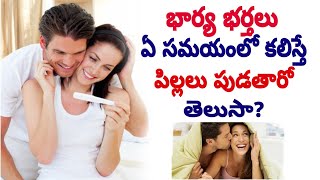 ప్రెగ్నెన్సీ తొందరగా రావాలంటే ఏమి చేయాలి? ఏ టైం లో కలవాలి? | How to Get Pregnancy Fast in telugu