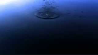 Pond ripple