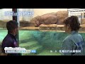 【hbcテレビ】きょうは、円山動物園 4 「ホッキョクグマ館、もうすぐ！」　2018年3月11日放送