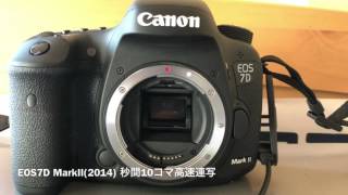 EOS40D、EOS7D Mark II高速連写