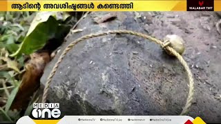 വയനാട് ബാവലിയിൽ വന്യജീവി ആക്രമണത്തിൽ ആട് ചത്ത നിലയിൽ