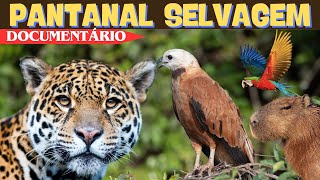 PANTANAL  SELVAGEM  -  DOCUMENTÁRIO  COMPLETO