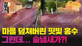 [잠못세] 마을 덮친 핏빛 홍수..그런데 술냄새가...?!