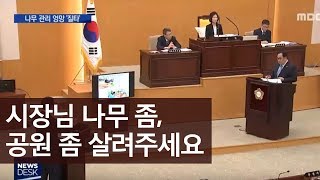 충주 나무관리 엉망, 의회에서 질타ㅣMBC충북NEWS