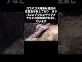 世界の名所 世界遺産第一号 ガラパゴス諸島