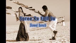 Saree Ke Fall Sa_||_Slowed Reverb_( R Rajkumar )_Shahid Kapoor Sonakshi Sinha