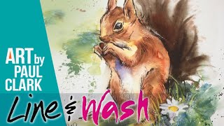 How to Paint a Red Squirrel in Line and Wash with Watercolour.