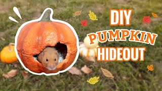 DIY Paper Clay Pumpkin Hideout For Small Animals