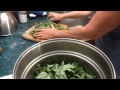 how to cook kale with stems