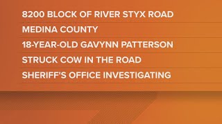 Motorcycle crash claims life of teen, cow in Medina County
