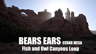 Bears Ears - Cedar Mesa backpacking: Fish and Owl Canyons Loop