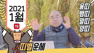 2021년 운세 모두 대박나세요~! | 신축년 1월 종합운세 및 용띠운세 뱀띠운세 말띠운세 양띠운세