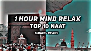 World Top, 10 Naat | New Lof i, Slowed + Reverb Naat 2023| @MeoProduction