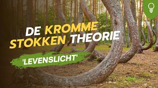 Levenslicht - De kromme stokken theorie - Jacques Brunt