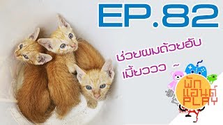 พักแอนด์เพลย์ 82 - วางแผนช่วยแมวแบบ Prison Break