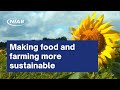 Making food and farming more sustainable