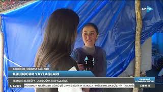 Kəlbəcər yaylaqları  - AzTV (06.07.2023)