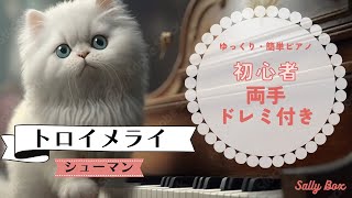 トロイメライ/シューマン  簡単ピアノ　ゆっくりドレミ付き練習　初級ピアノ