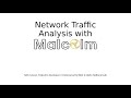 Network Traffic Analysis with Malcolm