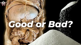 What Sugar Really Does to the Body