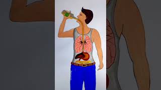 Boy's stop drinking 🚫 and save your life #rifanaartandcraft #youtubeshorts #shortvideo #rifanaart