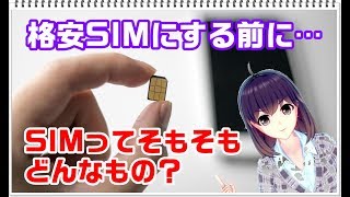 【格安SIMの仕組み】SIMってそもそもどんなもの？