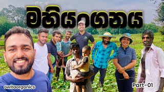 එන්න යමු අපේ වගාබිම් බලන්න | November visit | Day 1