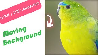 Moving Background | How to move background image | HTML CSS Javascript