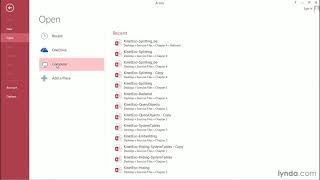 Access Tutorial - Password protecting a back end