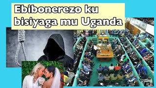 EBISIYAGA MU UGANDA- Abasiyazi baakuwanikibwa ku kalabba. #anti gay bill #lgbt #lgbtq #uganda