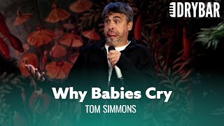 The Real Reason Why Babies Cry So Much. Tom Simmons