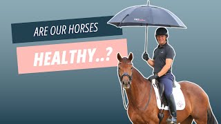 What does horse WELFARE mean to YOU? Clinic with Tristan Tucker