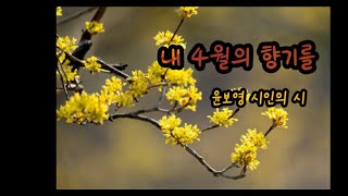 [시낭송] 내 4월의 시 \\윤보영시인의  시 \u0026 최미숙 낭송