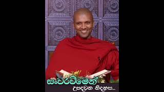 සංවර වීමෙන් ලැබෙන නිදහස...┃අසන්න මේ දම් පදය..🙏☸️🌺