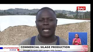 Meet the farmer who has ventured into commercial silage production in Uasin Gishu County