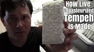 How Live Unpasteurized Tempeh is Made