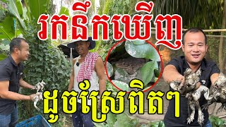 ចេះរកនឹកឃេីញពូ​ ដូចស្រែពិតៗ