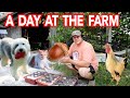 Acorns & Animals -  A Day at the Farm