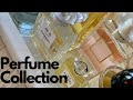 Perfume Collection 2023  #perfumecollection #curated #perfumefatigue